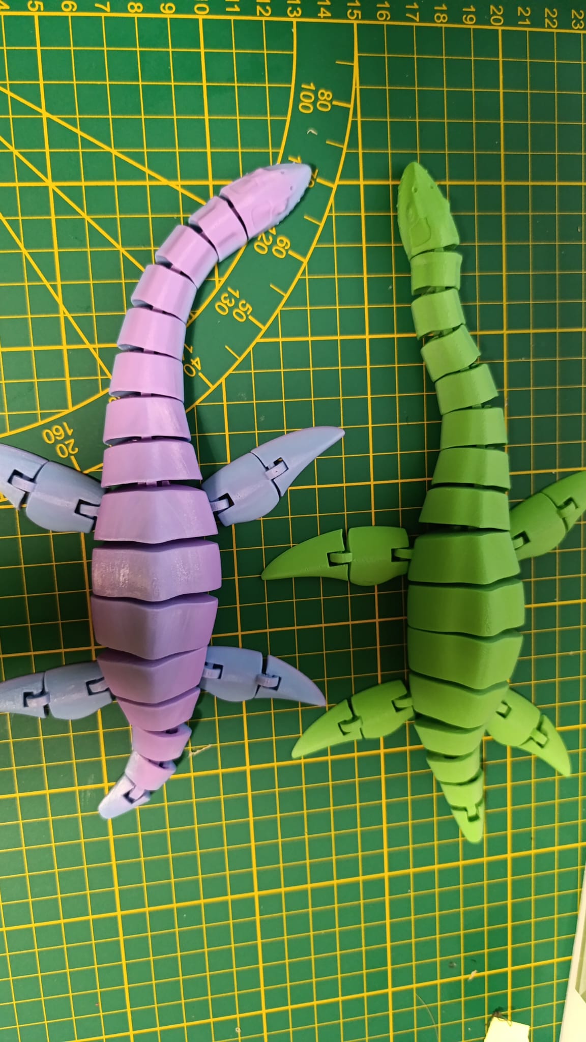 Il Plesiosauro Flexy – Il Leggendario Mostro del Lago…